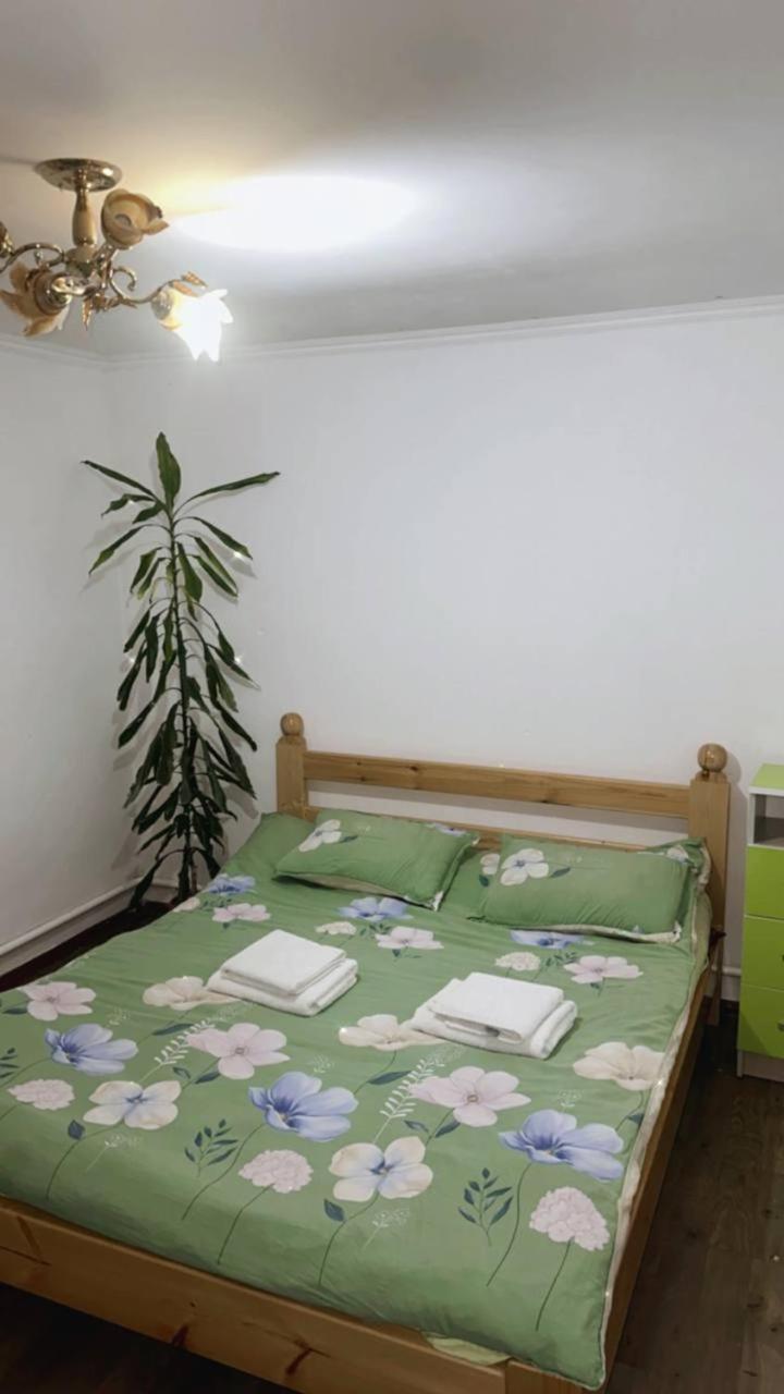 Rozalinda Guesthouse Naryn Luaran gambar